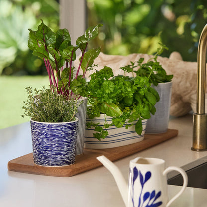 1815 Pacific Trough Planter