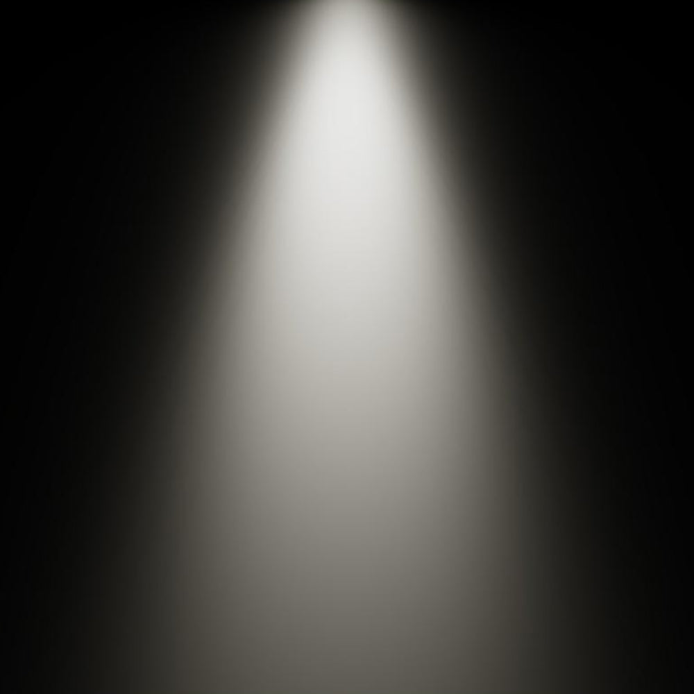 14W Exterminator II 90CRI Monopoint Luminaire